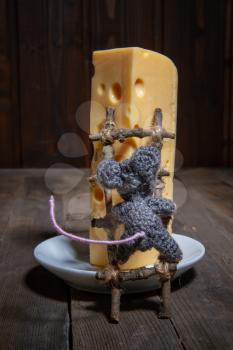 a small toy mouse symbol of 2020 with the help of a homemade wooden ladder climbs onto a large piece of cheese