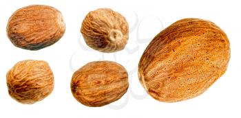 several different nutmegs close up isolated on white background