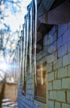 a row of large dangerous icicles hanging from the roof of a building in cold winter