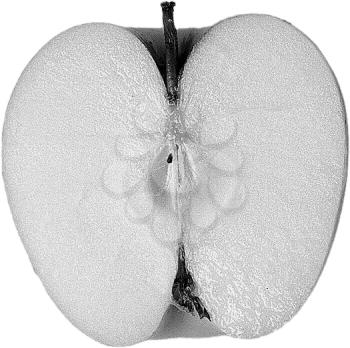 Royalty Free Black and White  Photo of an Apple Half