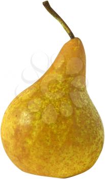Royalty Free Photo of a Bosc Pear