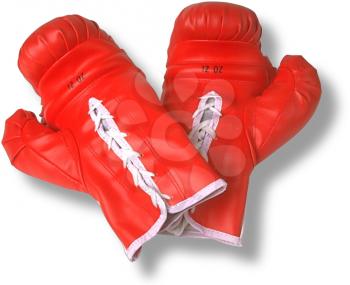 Royalty Free Photo of a Boxing Gloves