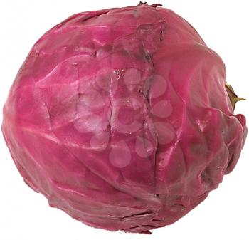 Royalty Free Photo of a Red Cabbage