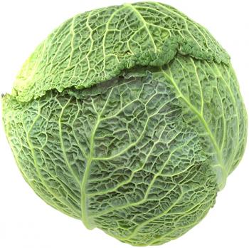 Royalty Free Photo of a Green Cabbage