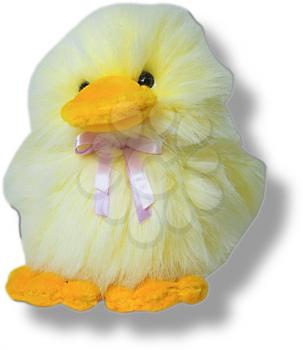 Royalty Free Photo of a Baby Chick Toy