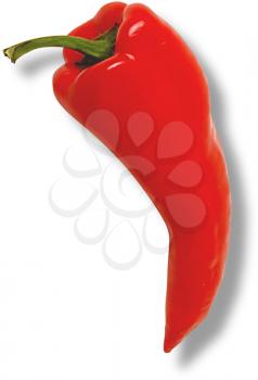 Royalty Free Photo of a Chili Pepper on a White Background