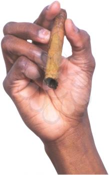 Royalty Free Photo of a Hand Holding a Cigar