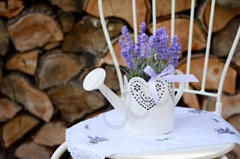 Lavender in the old metal can on the metal chair. Home decoration.