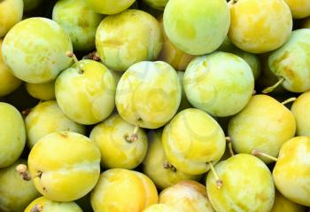 Closeup shot of the fresh yellow plums (Prunus domestica). Shot suitable for background and wallpaper.
