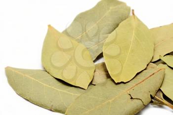 Heap of dried bay leaves on white background, closeup.