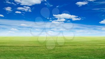 Panoramic green landscape. Summer background nature outdoor