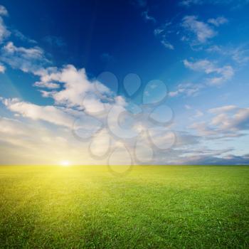 Evening meadow. Summer good weather nature background