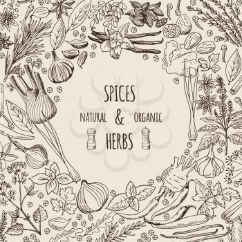 Healthy background illustrations with spices and herbs. Hand drawn pictures with place for your text. Healthy spice and plant, herb rosemary natural