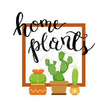 Banner with home green plant cactus. Cacti in frame. Vector illustration