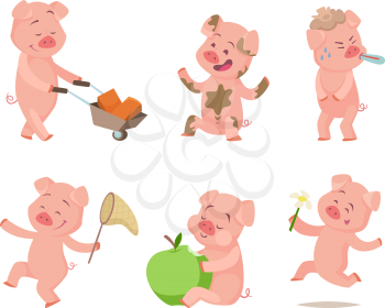 Cartoon funny pigs in action poses. Pig cartoon, animal character. Vector illustration