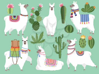 Set illustrations of animals. Llama and alpaca wool. Cute character animal lama, vector illustration