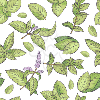 Green leafs of fresh mint. Vector seamless pattern. Mint seamless green leaf pattern illustration