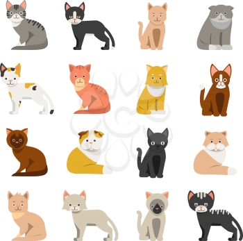 Funny cats in flat style. Isolate on white background. Vector collection of cat, feline with whisker illustration