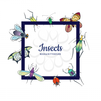 Vector hand drawn insects flying around frame with place for text illustration