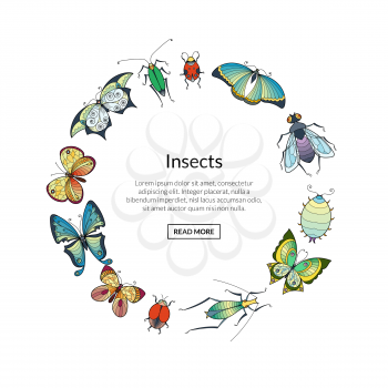 Vector hand drawn insects in circle shape with place for text illustration