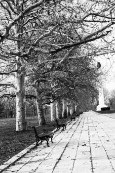 Benches in the park lined up