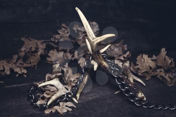 Deer Antlers Against Rustic Wooden Background Chained