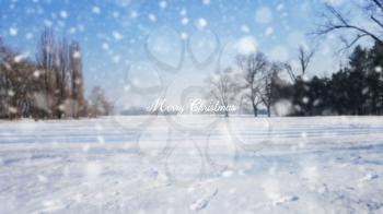 Merry Christmas Sign On White Snow Background Background