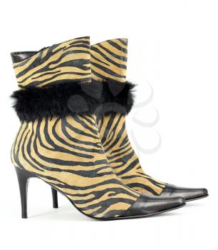 women boot with tiger stripes on white 