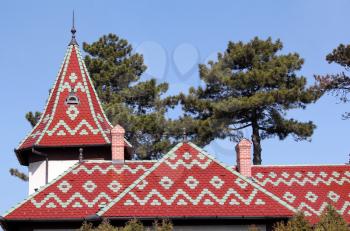 castle colorful tiles roof architecture detail