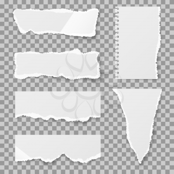 Blank torn paper with bends and tears. Ripped sheet paper and reminder lacerated paper blank. Vector illustration set