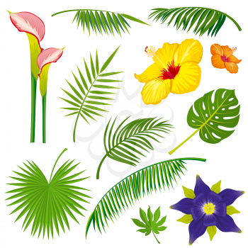 Tropical jungle leaves and flowers vector set. Flower tropical nature in jungle, plant flower summer illustration
