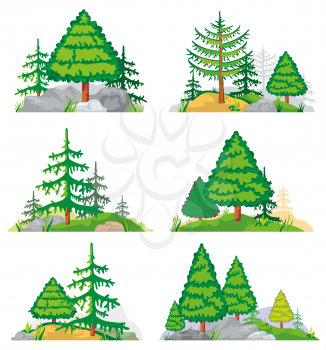 Landscapes with coniferous trees, grass and stones. Vector landscape nature with tree and plant. Forest landscape illustration of set