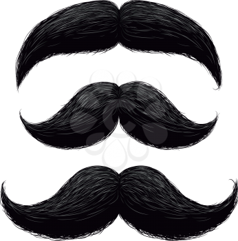 Funny retro hair mustaches vector set. Mustache vintage facial, funny curly black mustache illustration