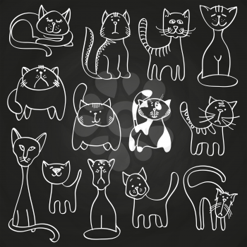 Hand drawn doodle cats set on blackboard. Sketch cats on blackboard, vector illustration