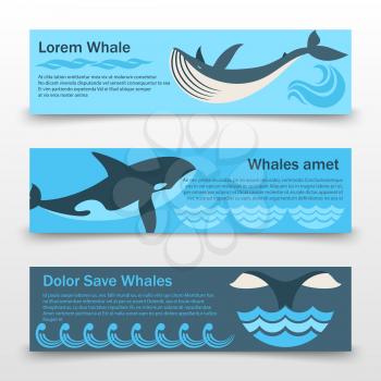 Wild whales horizontal banners or poster template isolated. Vector illustration