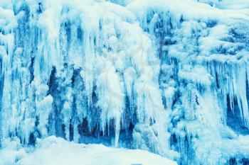 Frozen waterfall of blue icicles on the rock