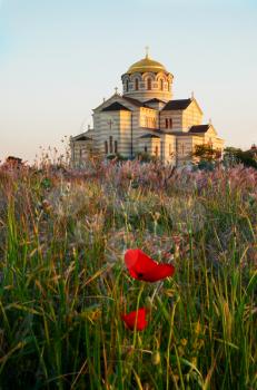 Temple and the poppy. 