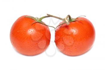 Two red tomatoes with water drops isolated on white background