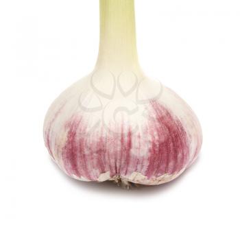 Garlic clove isolated on the white background
