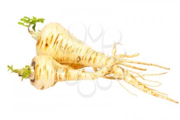 Parsnip isolated on white.