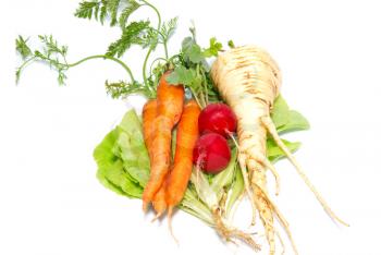 Carrots, radishes and  parsnip with green lettuce isolated on white.