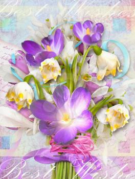 Spring festive card with flowers primroses and crocuses. Can be used as greeting card for the International Women's Day, Mother's Day, birthdays, weddings and other celebrations.