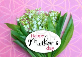 White spring flowers on pink background. Card for greetings for Mother's Day.