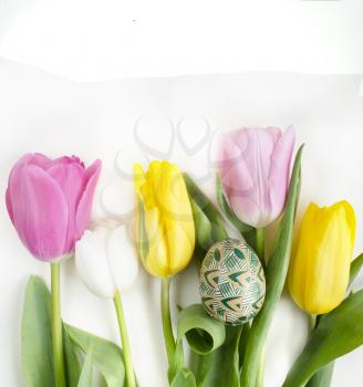 Beautiful blossoming tulip flower and Easter colorful egg. Floral design. Nature background. Spring background with beautiful fresh flowers. Happy Easter. Still life with Pysanka. Easter background.