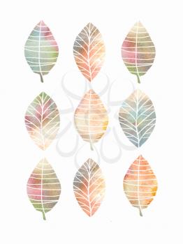 Collection of colorful autumn leaves, isolated on white background. Hand drawn symbol, icon. Colorful sketch for your design.