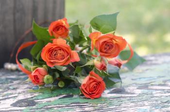 Orange roses on a vintage shabby texture background. A photo with a place for greetings.