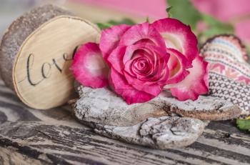 Pink with white rose with a wooden inscription love.Valentin day and romantic concept photo.