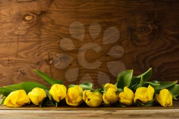 Row of yellow  tulips on wooden background, copy space. Spring flowers. Flowers greeting.  Flowers postcard