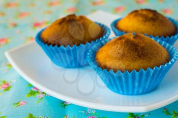 muffins in the blue paper cupcake holder on a white plate, azure napkin floral print, selective focus