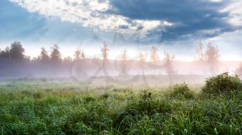 Beautiful landscape with dawn mist and morning dew. Summer idyllic beautiful landscape. Selective focus.